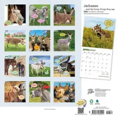 StarGifts 2024 Wall Calendar 12"x12" Jackasses and the Funny Things They Say