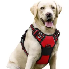 rabbitgoo Dog Harness No Pull