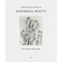 Edwin Hale Lincoln: Ephemeral Beauty - by  Wm B Becker (Hardcover)