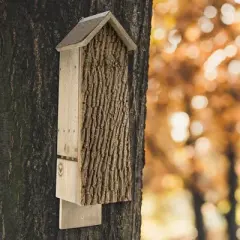 Uncle Dunkels Quadruple Chamber Bat House; Rustic Handmade Backyard Rocket Box Bat Shelter Box