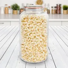 Gibson Home Alpha 2.4 Gallon Glass Canister Frasco   
