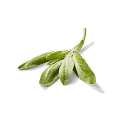 Organic Sage - 0.5oz - Good & Gather&trade;