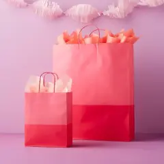 X-Large Gift Bag Pink Two Color Block - Spritz&trade;