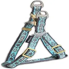 Touchdog  'Shape Patterned' Tough Stitched Dog Harness and Leash