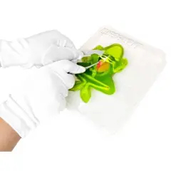 Top Secret Toys Dissect It - Frog Nature Exploration Toy