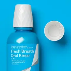 Fresh Breath Oral Rinse Mouthwash - 16 fl oz - up&up&trade;