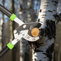 VEVOR Loppers for Tree Trimming, 32 inch Garden Anvil Trimmer, Heavy Duty Tree Branch Cutter Up to 2 inch Dia Cut Capacity, Green&Black