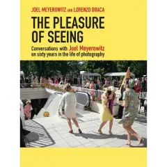 The Pleasure of Seeing - (Hardcover)