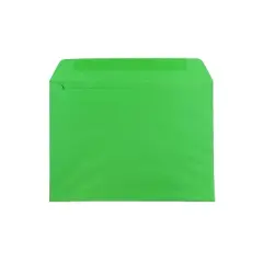 JAM Paper 9 x 12 Booklet Envelopes Green Recycled 100/Pack (154124c) 154124C