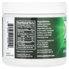 Xyloburst Xylitol Gum, Spearmint, 100 Pieces, 5.29 oz (150 g)
