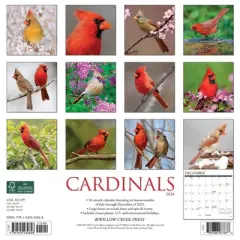 Willow Creek Press 2024 Wall Calendar 12"x12" Cardinals