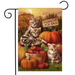 Briarwood Lane Fall Garden Flag 12x18 For Outdoor Fall Kittens Pumpkins For Fall Garden Flag Flags For Outside