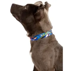 Country Brook Petz Deluxe Gone Fishin' Dog Collar and Leash