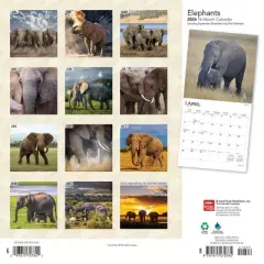 Browntrout 2024 Wall Calendar 12"x12" Elephants
