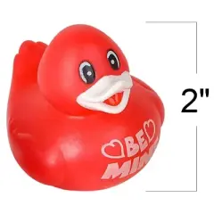 ArtCreativity Valentine's Day Rubber Duckies - 12 Pack, Love Themed Bath Toys