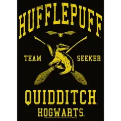 Men's Harry Potter Hufflepuff Quidditch Seeker T-Shirt