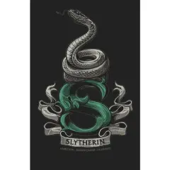 Harry Potter Slytherin Snake Men's Black T-shirt