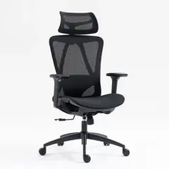 Okak Office Chair with Headrest, Height-Adjustable Mesh Desk Chair with Wheels, Computer Chair for Office, Study, Gaming Room
