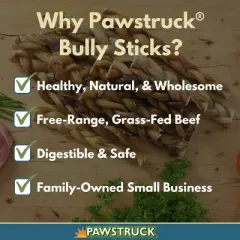 Pawstruck 7" Braided Bully Sticks for Dogs - Natural Bulk Dog Dental Treats & Healthy Chews, Chemical Free, 7 inch Best Low Odor Pizzle Stix
