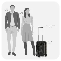 Traveler's Choice Millennial Polycarbonate Hardside Carry On Spinner Suitcase