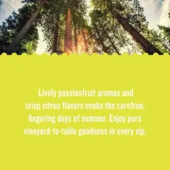 Sauvignon Blanc - 1.5L Bottle - California Roots&trade;