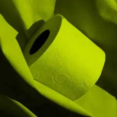 Roll-Lux Premium Soft 3-Ply 140-Sheet Lime Green Toilet Paper Rolls