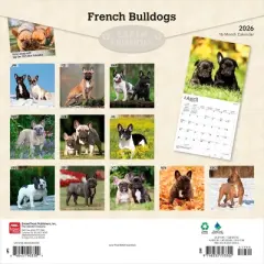 BrownTrout French Bulldogs 2026 12"x24" Hanging Square Wall Calendar Plastic-Free