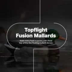 Avian X Topflight Floating Fusion Mallards with Rugged Design and True to Life Postures for Hunting Purposes, Outdoor Sports, and Recreation, 6 Pack