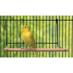 Prevue Pet Products Patio Perch for Bird Cage 360