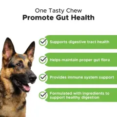Pet Honesty Probiotic Digestive Support Soft Chews for Dogs, 90 Ct