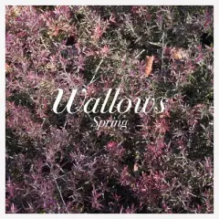 Wallows - Spring (Explicit Lyrics Colored Vinyl Pink Green)