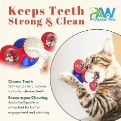 Cat Entertainment Set: Interactive Rotating Disk, Feather Teasers, Tumbler, Windmill Toy - Keeps Cats Active & Engaged Blue