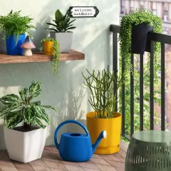 2gal Plastic Watering Can Cobalt Blue - Room Essentials&trade;