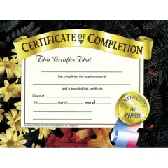 Hayes Certificate of Completion 8.5" x 11" Pack of 30 (H-VA524)