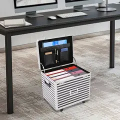 YIYIBYUS Rolling Lockable File Storage Case File Box with Telescopic Pole