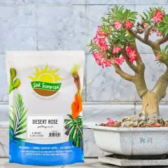 Soil Sunrise Desert Rose Potting Soil Mix, Repot, Sprout and Grow Potted Plants