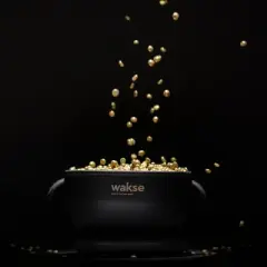 Wakse Wax Melting Electric Pot