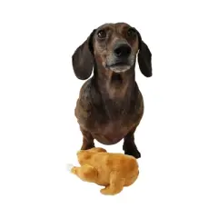 Midlee Roasted Thanksgiving Turkey Plush Dog Toy