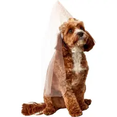 Rubies Birthday Fairy Cone Hat Pet Accessory
