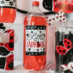 Big Dot of Happiness Happy Little Ladybug - Baby Shower or Birthday Party Decorations for Women and Men - Wine Bottle Label Stickers - Set of 4