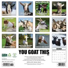 Willow Creek Press 2026 You Goat This Wall Calendar
