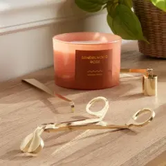 5.5" Wick Trimmer Snuffer and Wick Pusher Candle Holder Set - Threshold&trade;: Elegant Stainless Steel Tools for Candle Care