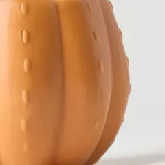 Pumped for Fall Orange Live Houseplant - Good Little Garden&trade;