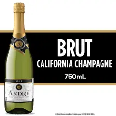 Andre Brut Champagne Sparkling Wine - 750ml Bottle