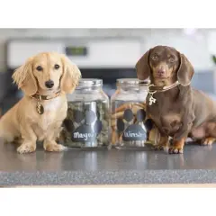 Amici Pet Buddy Paw Chalkboard Medium Glass Treats Storage Canister, 108 oz. , Clear w/ Black Paw & Silver Lid