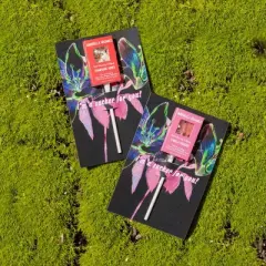 Amborella Organics 6pk Sucker for You Cards with Seed-Bearing Lollipops Flower Seeds