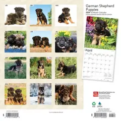 Browntrout 2024 Wall Calendar 12"x12" German Shepherd Puppies