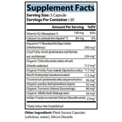 Natural Extract BONE BROTH Capsules 90count