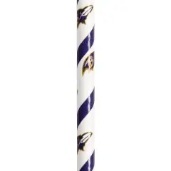 72ct Baltimore Ravens Football Paper Straws