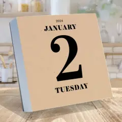 TF Publishing 2024 Daily Desktop Calendar 5.25"x5.25" Dated